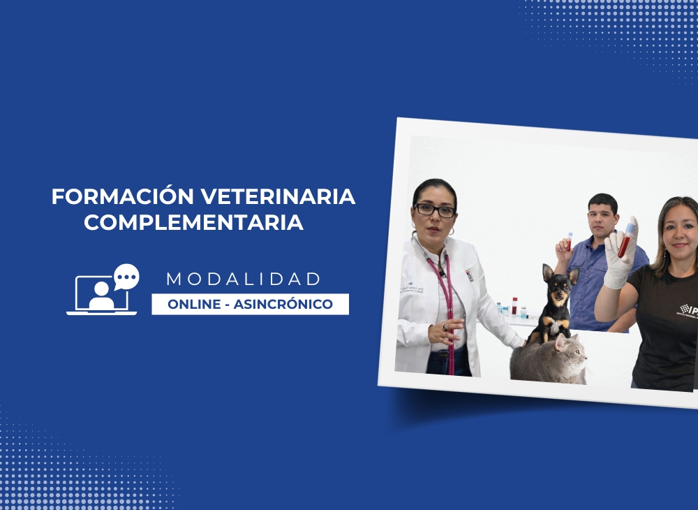 Formación Veterinaria Complementaria - Imagen 2
