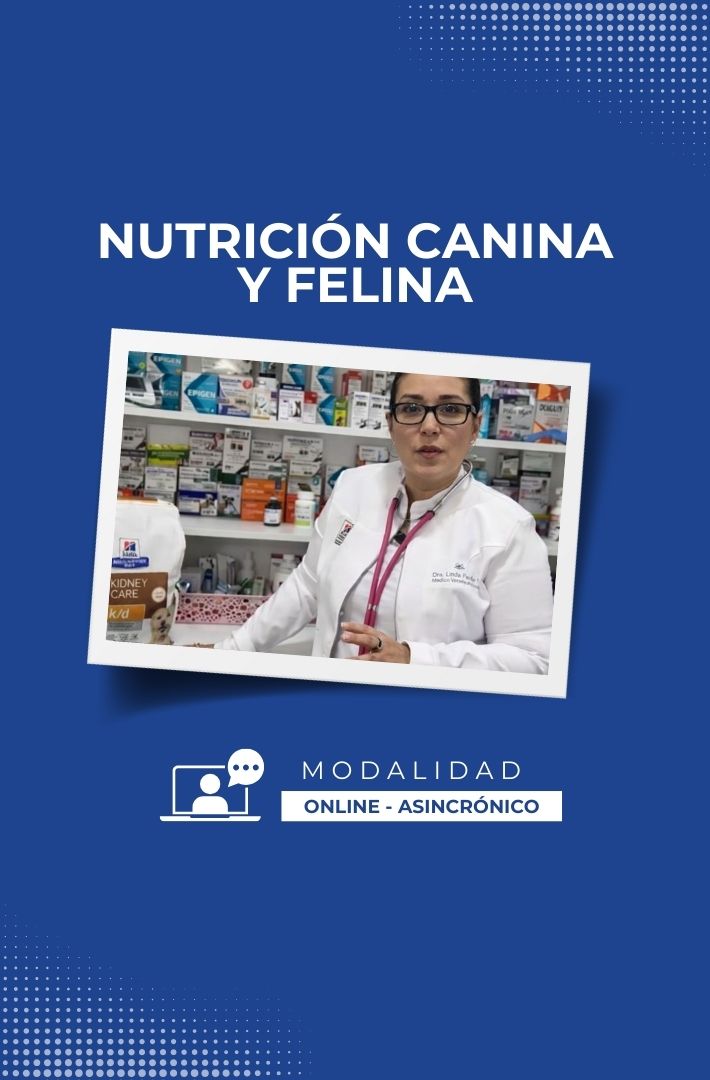 Masterclass Práctica en Nutrición Canina y Felina